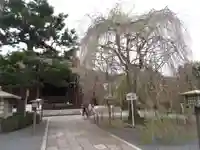 大報恩寺(千本釈迦堂)の自然