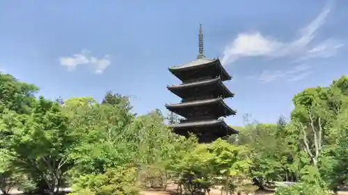 仁和寺の塔