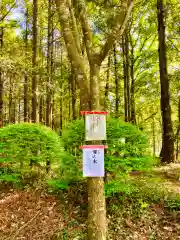 伊保田神社(茨城県)