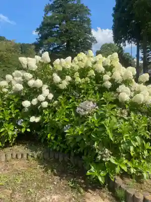 白河神社(福島県)