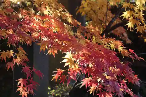 国宝 大法寺の自然