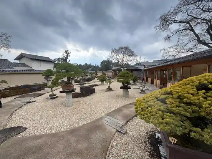 芳春院の{uncategorized: "未分類", other: "その他", undefined: "問題あり", building: "その他建物", grave: "お墓", sacred_gate: "鳥居", guardian: "狛犬", statue: "像", buddha: "仏像", history: "歴史", nature: "自然", garden: "庭園", animal: "動物", pagoda: "塔", temizu: "手水舎", mountain_gate: "山門・神門", sanctuary: "本殿・本堂", subordinate: "末社・摂社", art: "芸術", scenery: "景色", jizo: "地蔵", ema: "絵馬", goshuin: "御朱印", omikuji: "おみくじ", items: "授与品その他", amulet: "お守り", goshuincho: "御朱印帳", eats: "食事", festival: "お祭り", votive_dance: "神楽", shichigosan: "七五三参", wedding: "結婚式", experience: "体験その他", initially: "初詣", around: "周辺", anti_infection: "感染症対策"}