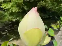 伊勢の国 四天王寺(三重県)