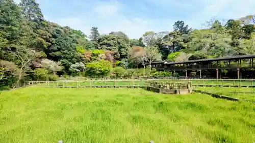 本土寺の庭園