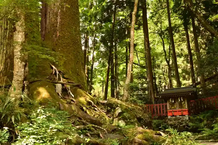 貴船神社結社(京都府)