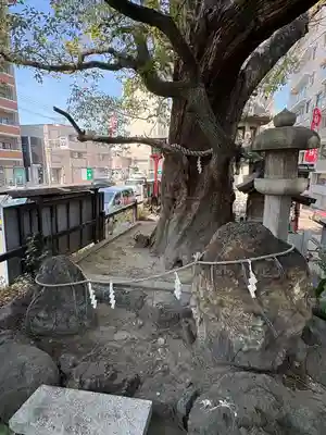 若一神社(京都府)