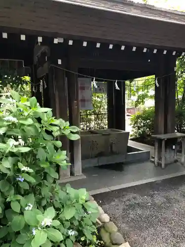 阿佐ヶ谷神明宮の手水舎