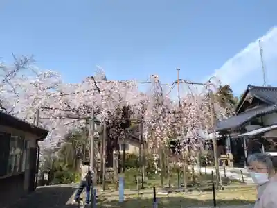 千手院(島根県)