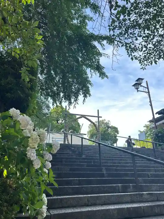 所澤神明社(埼玉県)
