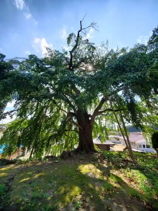 長興寺(福島県)
