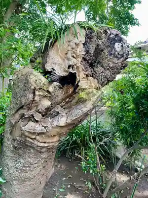 由比若宮（元鶴岡八幡宮）(神奈川県)