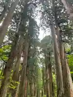 戸隠神社九頭龍社(長野県)