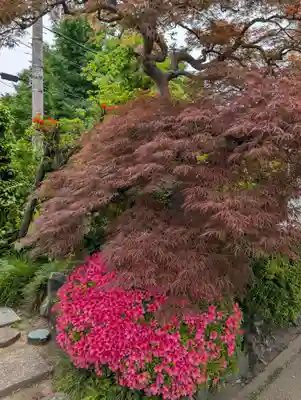 真言宗智山派金澤山福泉寺圓能院(神奈川県)