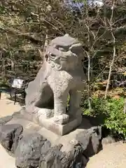 晴明神社の狛犬