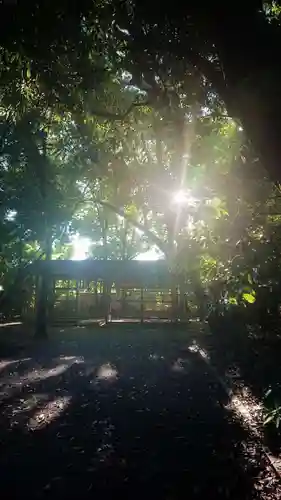 尾張大國霊神社（国府宮）の自然