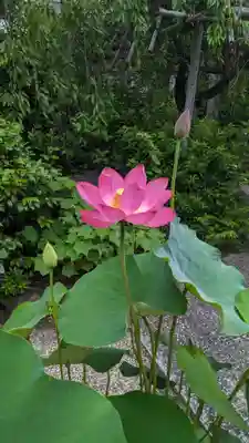 後白河院御聖蹟　法住寺(京都府)