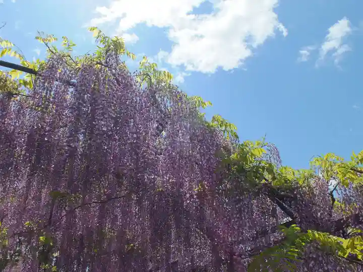 三大神社の自然