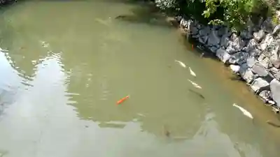 祇園寺(岡山県)