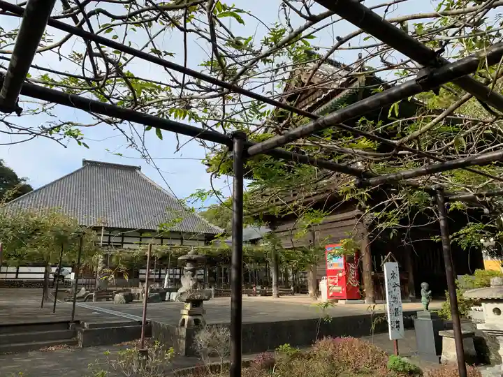 長泉寺(埼玉県)