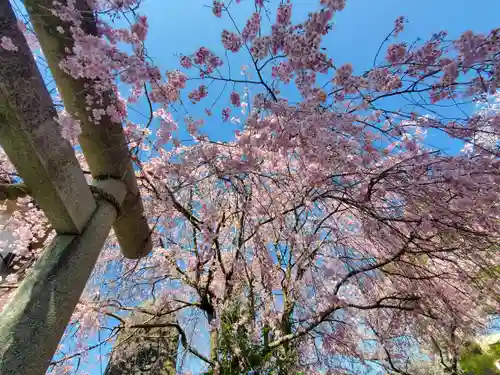 日限富士浅間神社(栃木県)