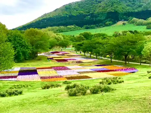 薬莱神社(宮城県)