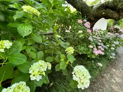 念佛院(奈良県)