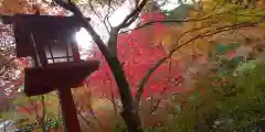 鍬山神社の建物その他