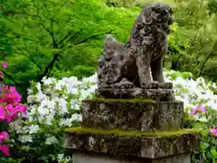 那谷寺の狛犬