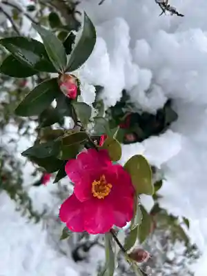 鏡石鹿嶋神社 ＊安産・開運・勝利の神さま＊(福島県)