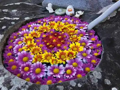 真言宗　善通寺派　薬王寺(香川県)