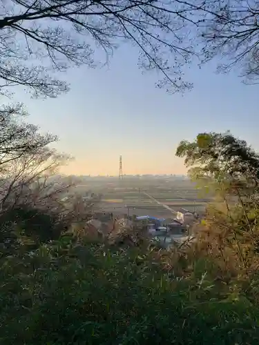 矢切神社の景色