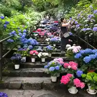 長谷寺(奈良県)