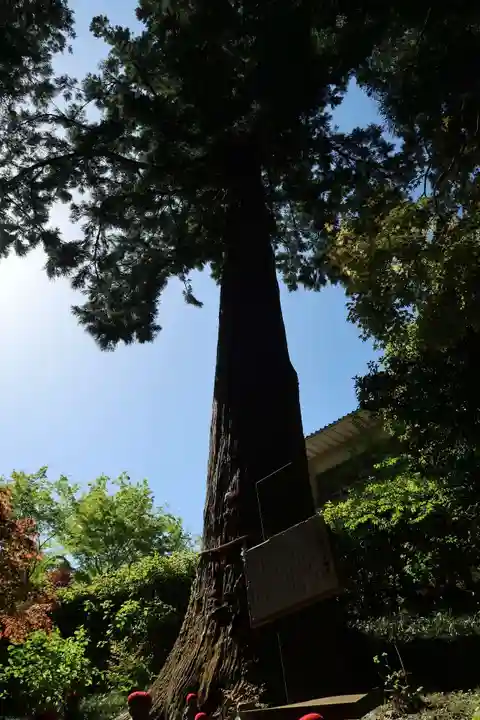 方廣寺(静岡県)