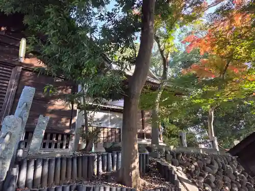 八雲神社(埼玉県)