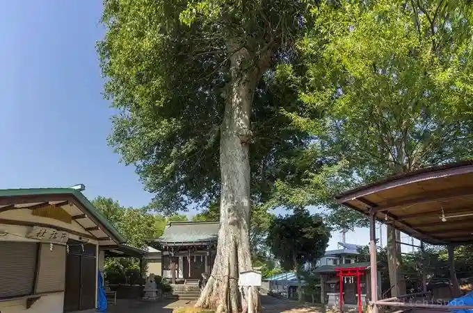 白山神社(東京都)