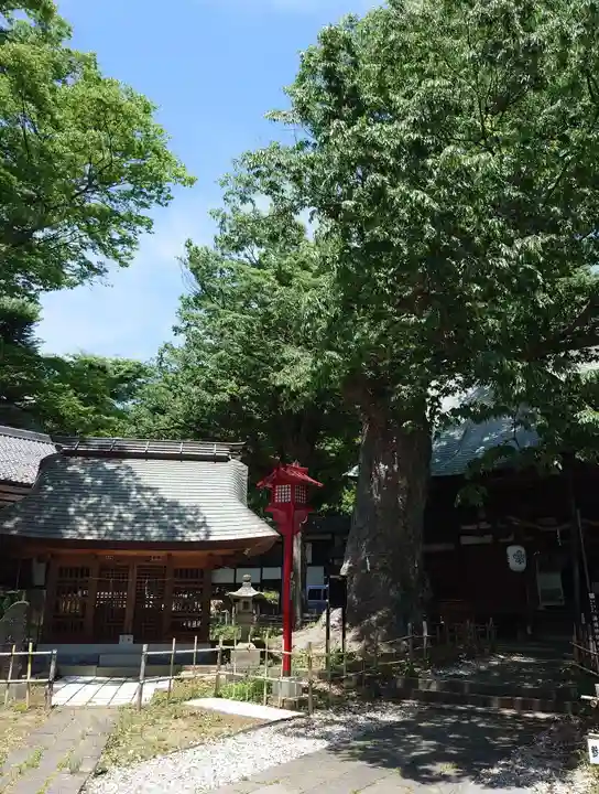 湯福神社(長野県)
