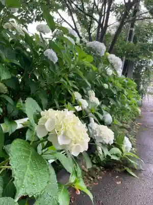 国上寺(新潟県)