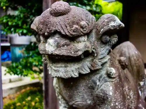 新羽杉山神社の狛犬