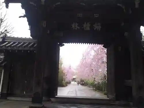 吉祥寺の山門