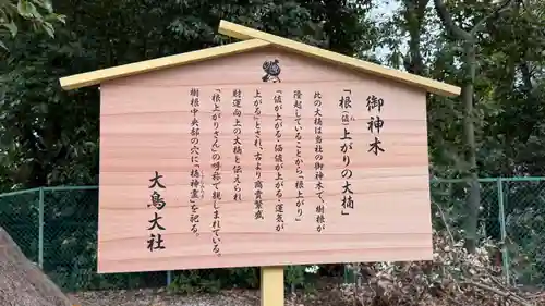 和泉國一之宮　大鳥大社(大阪府)