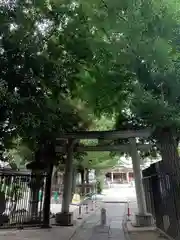 白山神社の鳥居