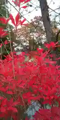 鍬山神社(京都府)