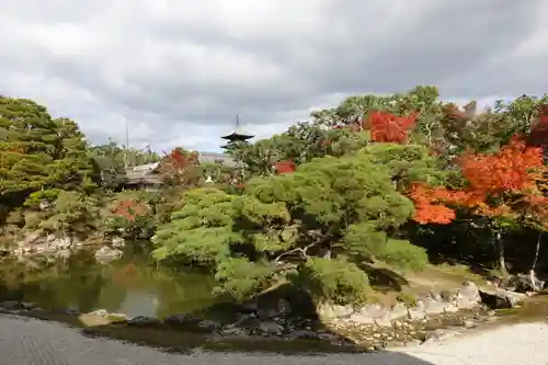 仁和寺の庭園