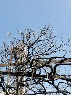 國領神社(東京都)