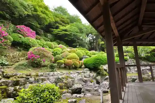 神恵院の庭園