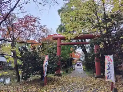 永山神社の七五三参