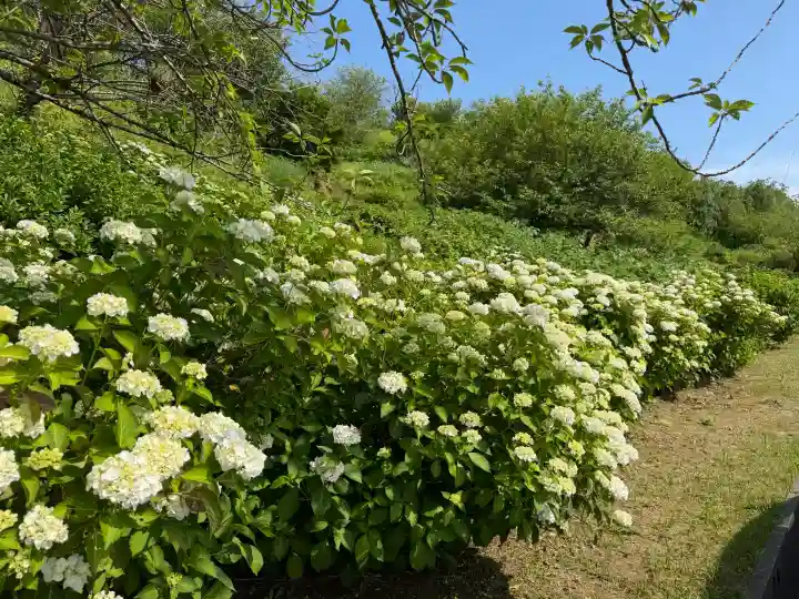 倶利迦羅不動寺鳳凰殿(石川県)