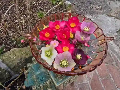 円照寺(兵庫県)