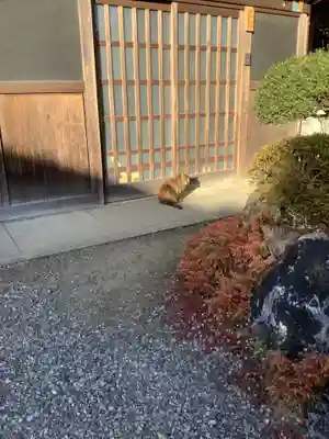 矢合観音(愛知県)