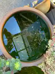 大野神社の動物